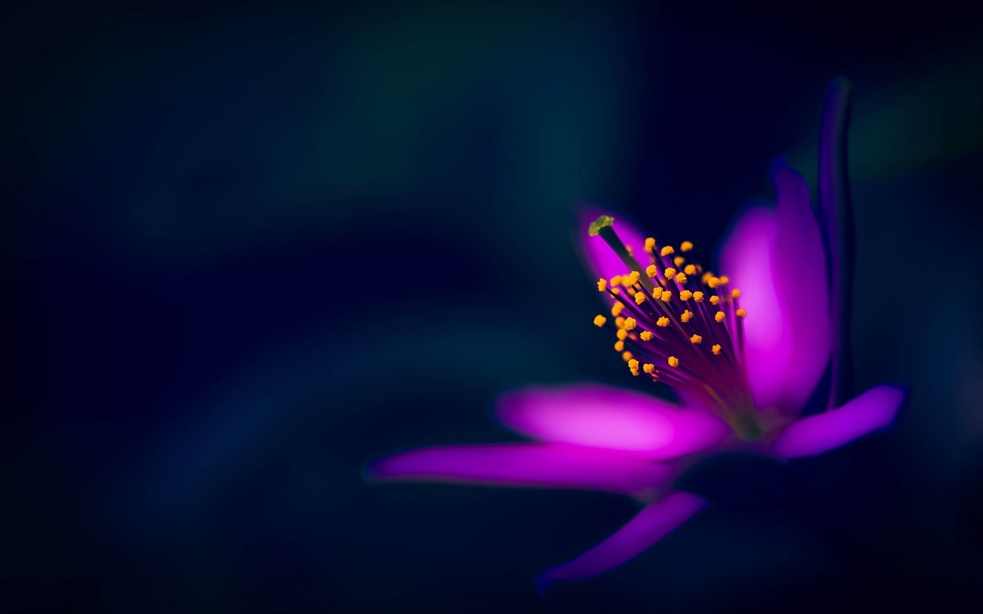 الرُّوح والدُّر